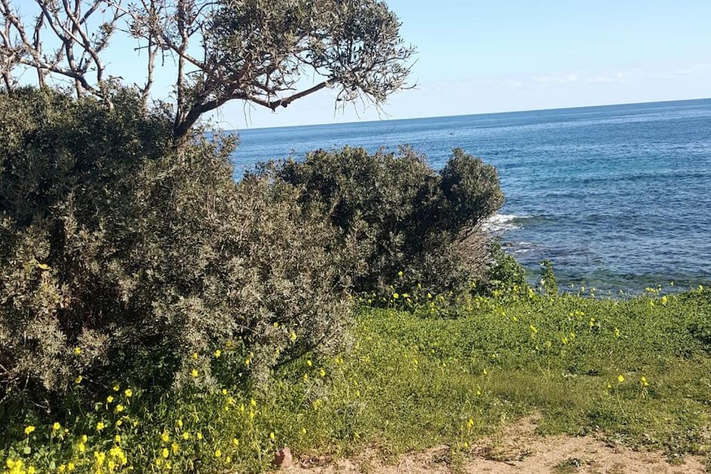 Stella Maris - Abba Urci Villa Tertenìa Exteriör bild